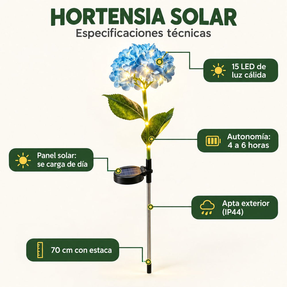 Hortensias Solares Luz Cálida