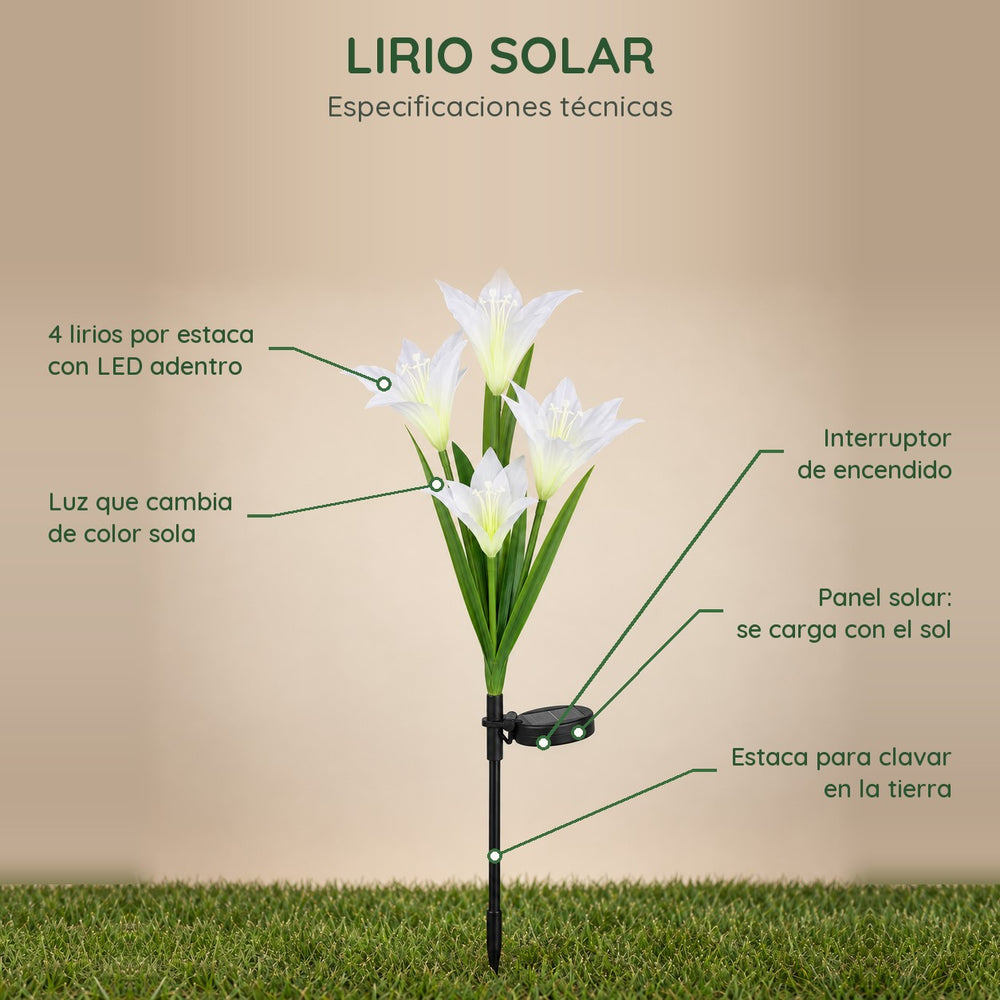 Lirios Solares Multicolor