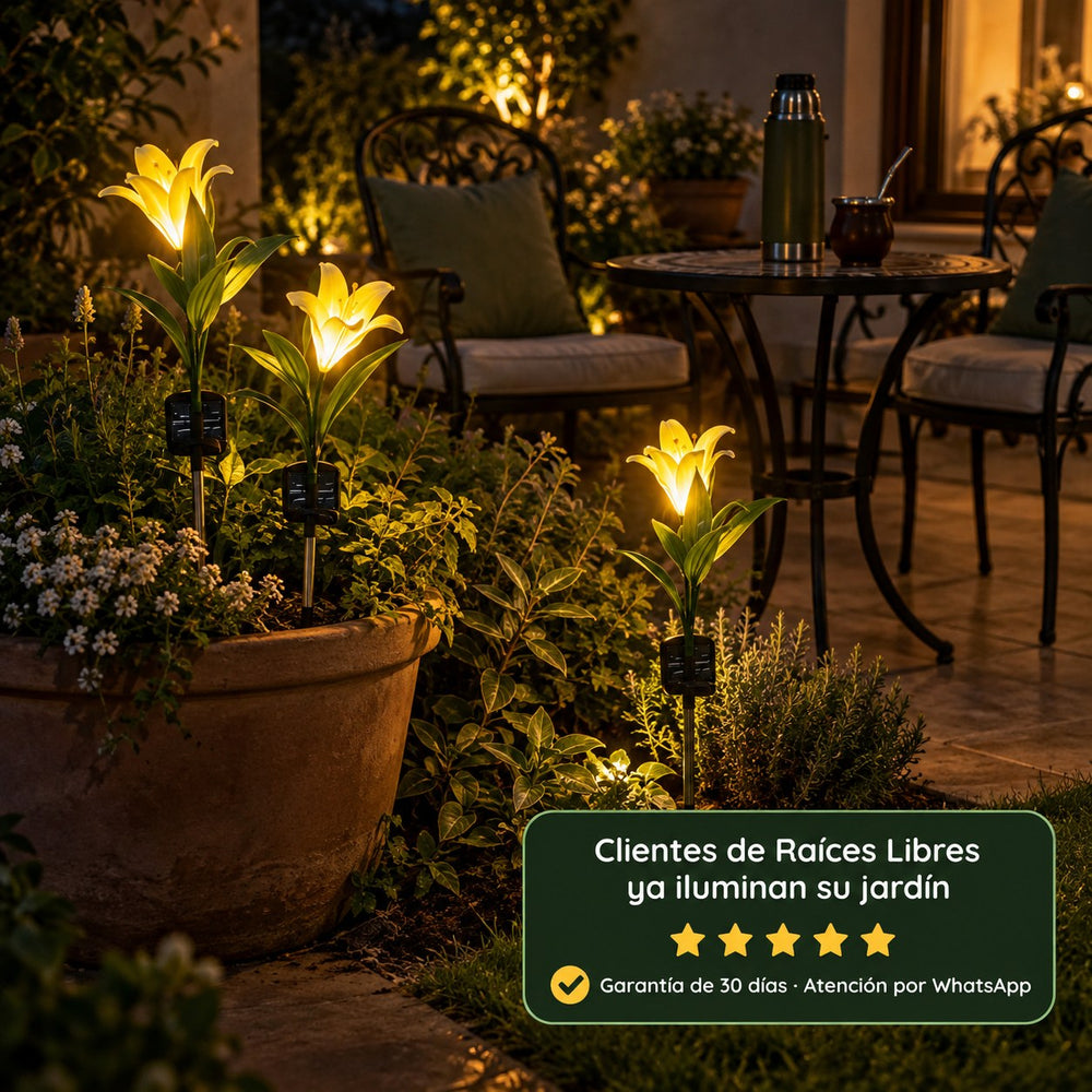 Tulipanes Solares Luz Cálida