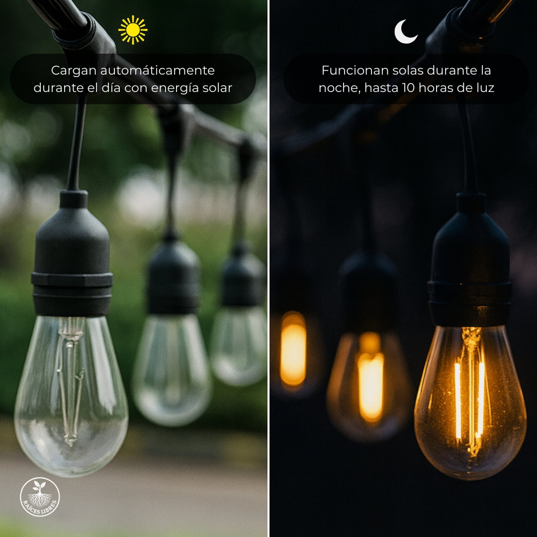 Guirnalda Solar LED 5m (10 Focos)