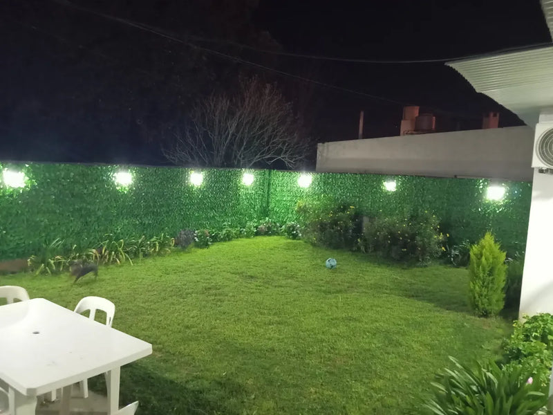 Imagen de ramiro