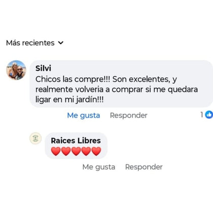 Cliente