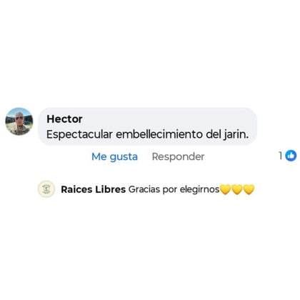 Cliente