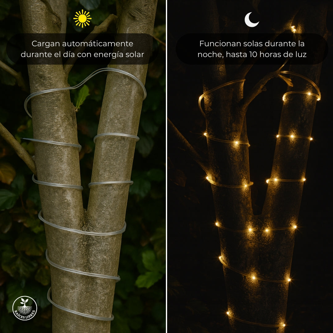 Manguera SOLAR Navideña 10 metros