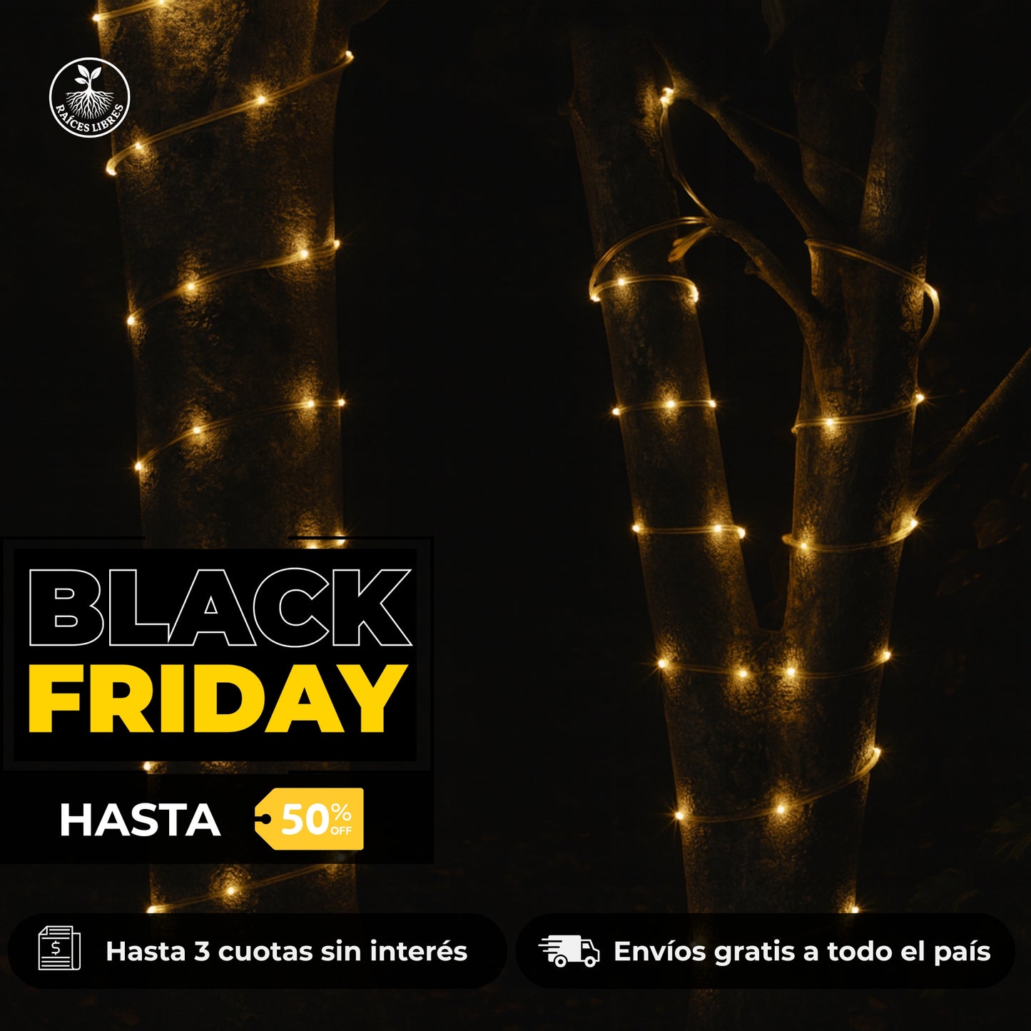 Manguera SOLAR Navideña 10 metros