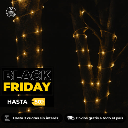 Manguera SOLAR Navideña 10 metros