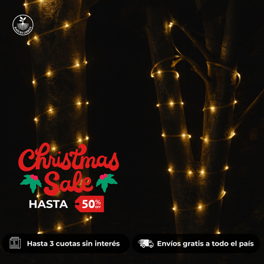 Manguera SOLAR Navideña 10 metros
