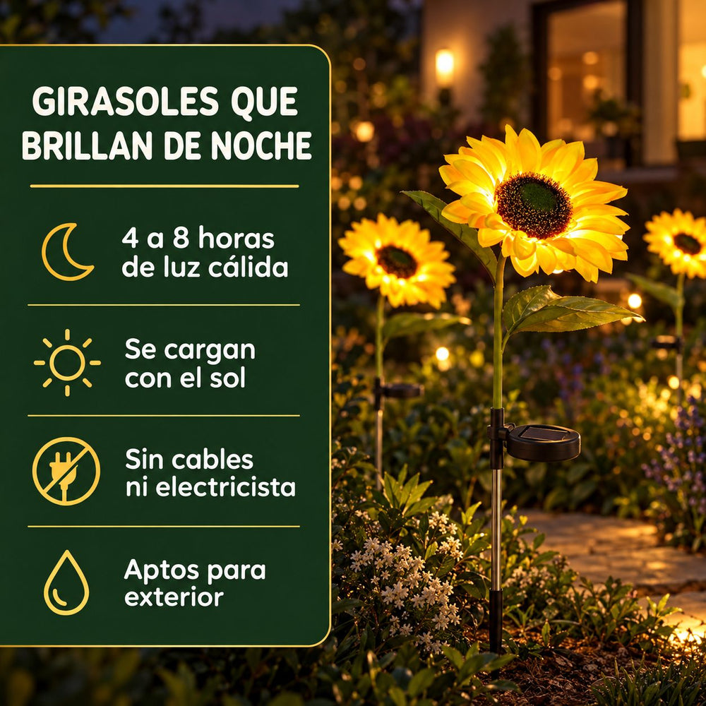 Girasoles Solares Luz Cálida