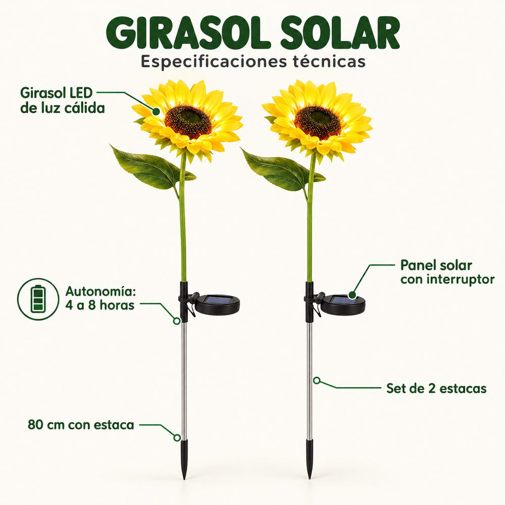 Girasoles Solares Luz Cálida