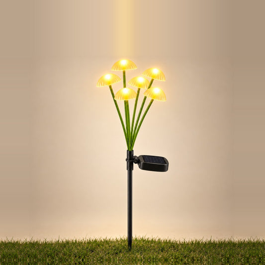 Hongos Solares Luz Cálida