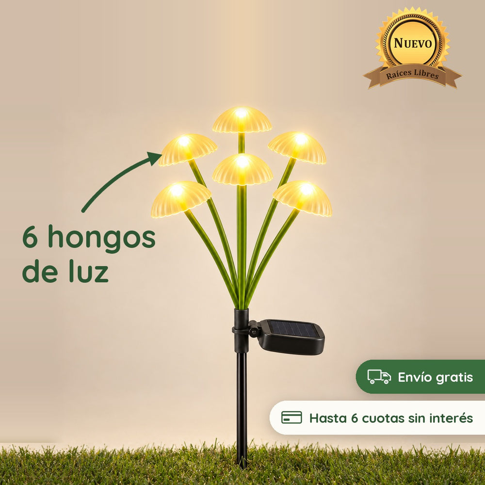 Hongos Solares Luz Cálida