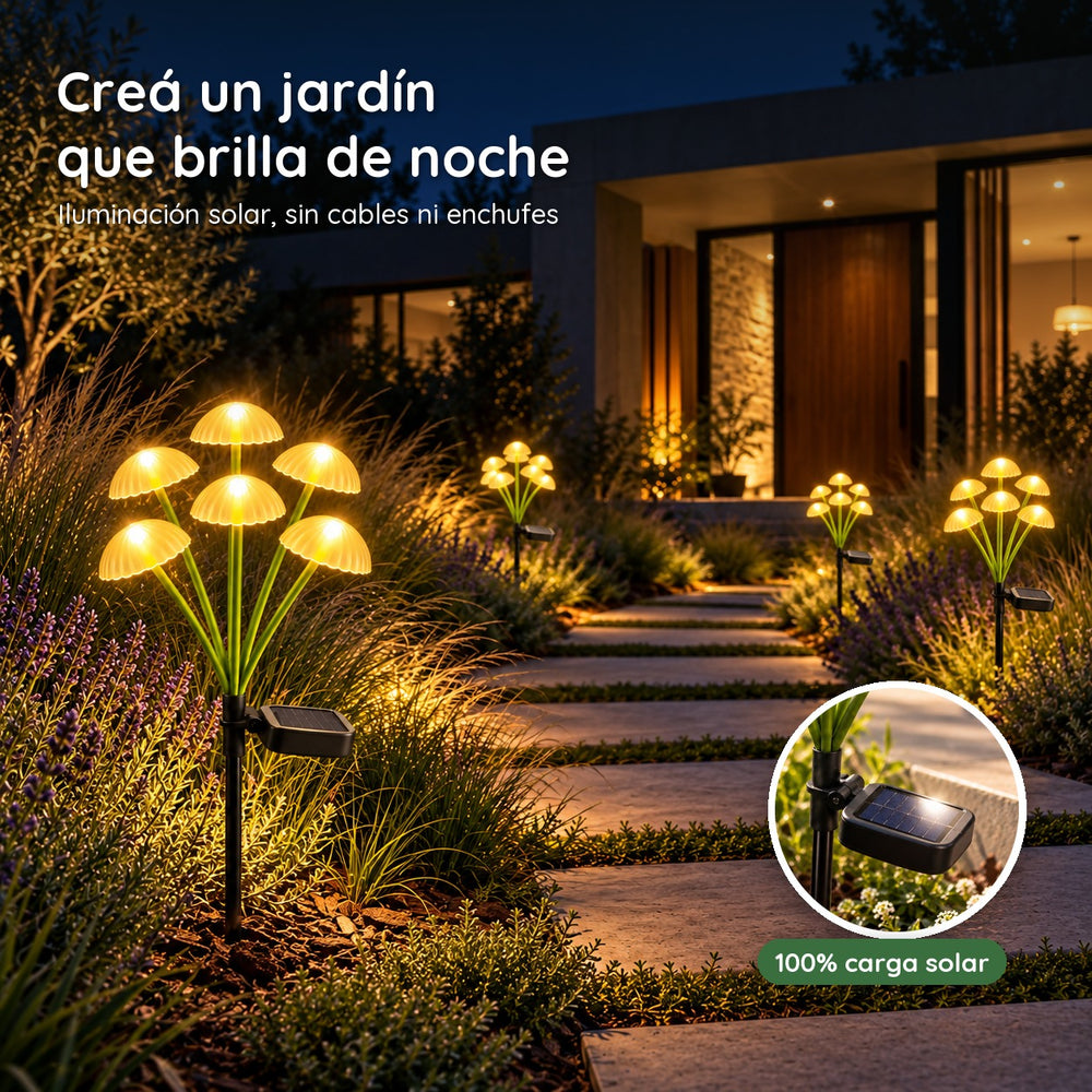 Hongos Solares Luz Cálida