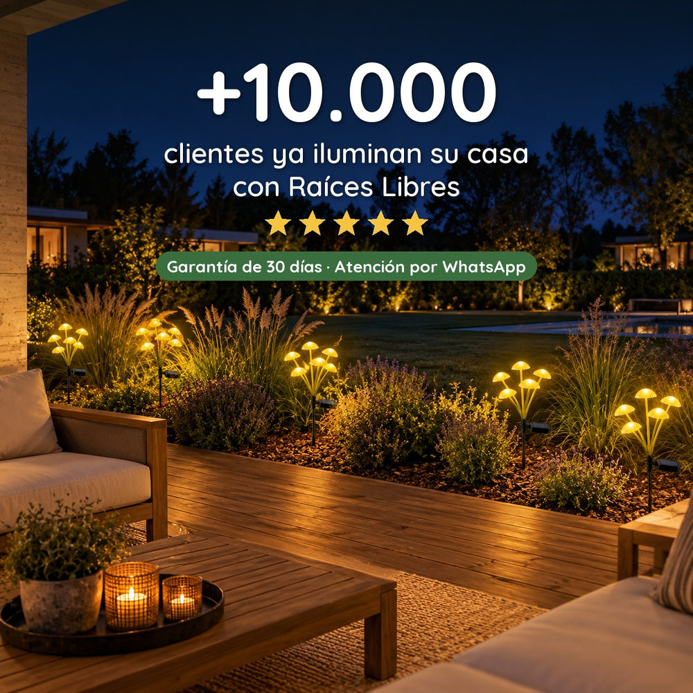 Hongos Solares Luz Cálida