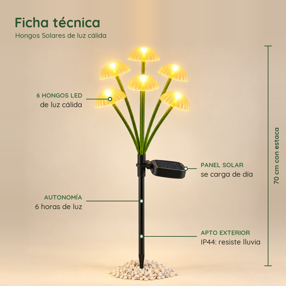 Hongos Solares Luz Cálida