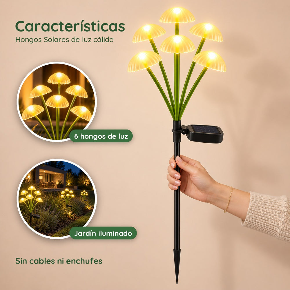 Hongos Solares Luz Cálida