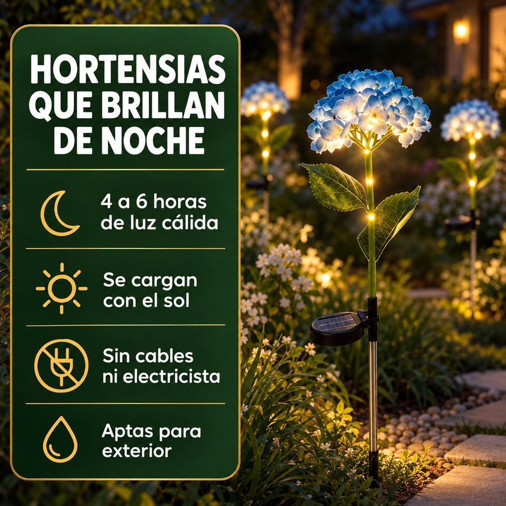 Hortensias Solares Luz Cálida