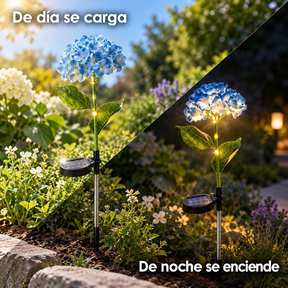 Hortensias Solares Luz Cálida