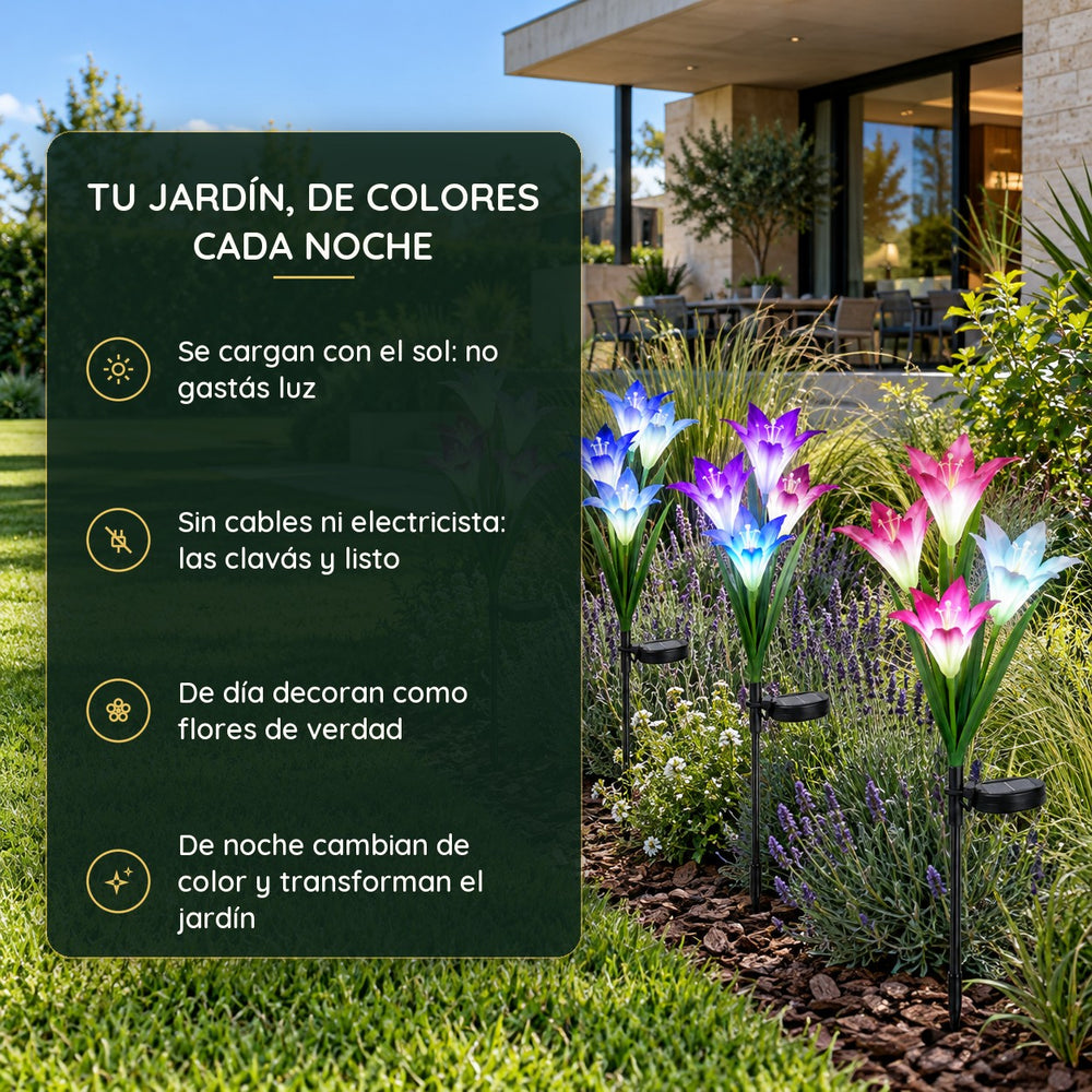 Lirios Solares Multicolor