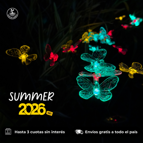 Luces SOLARES Mariposa RGY 🦋