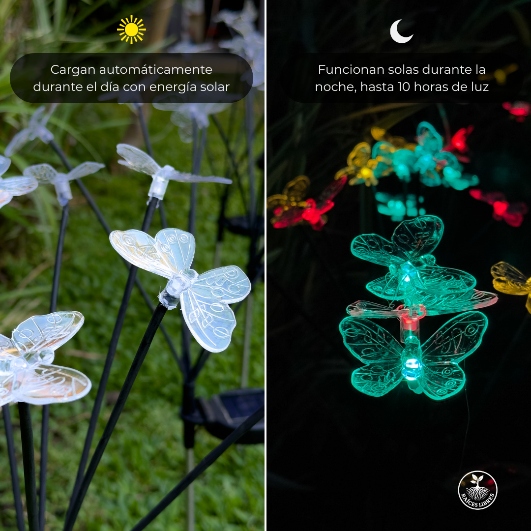 Luces SOLARES Mariposa RGY 🦋 2 UNIDADES