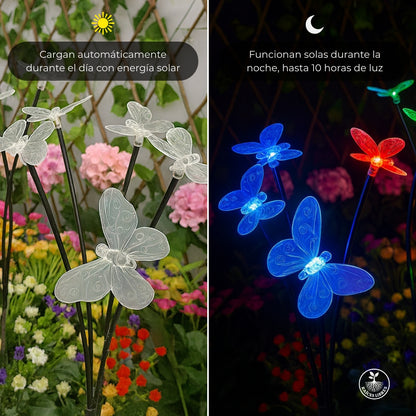 Luces SOLARES Mariposa RGY 🦋