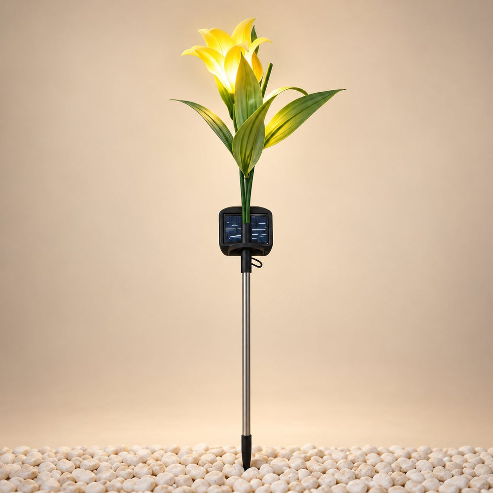 Tulipanes Solares Luz Cálida