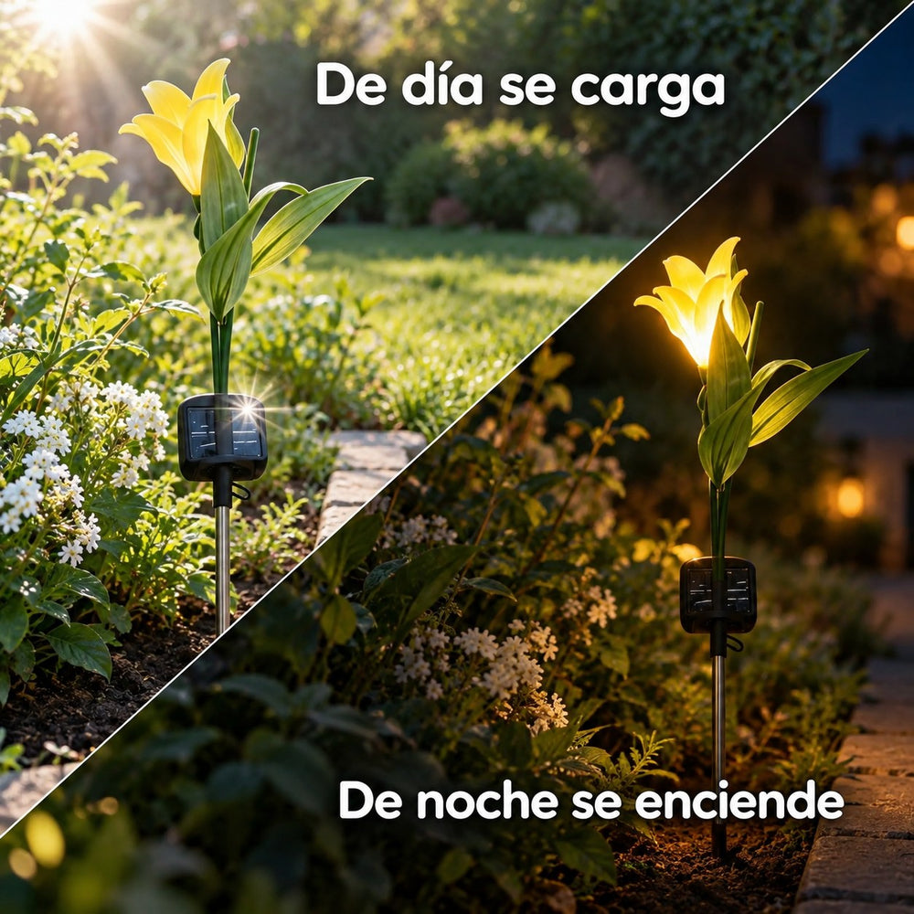 Tulipanes Solares Luz Cálida