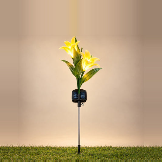 Tulipanes Solares Luz Cálida